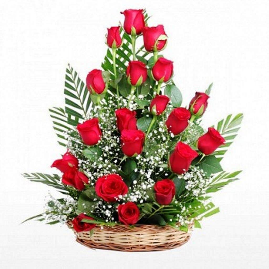 Special Basket Arrangement of 25 Red Roses Fresh Flowers The FloralMart®