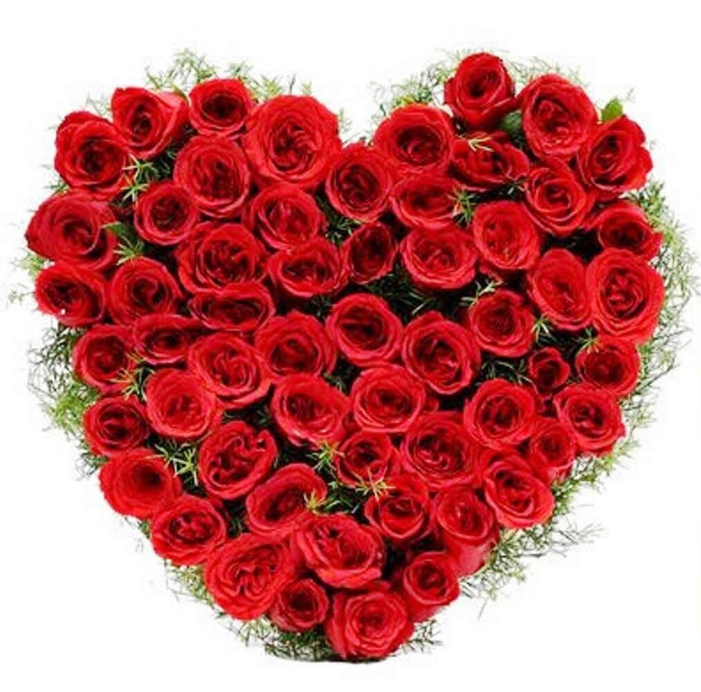 Special Heart Shape Arrangement of 50 Red Roses Fresh Flowers ...